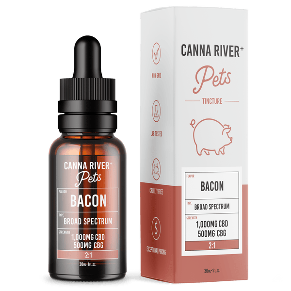 CBD For Pets, CBD Oil For Dogs